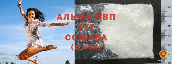 гидра Майский