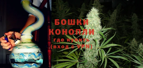 гидра Майский