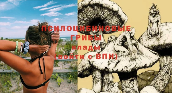 дмт Магадан
