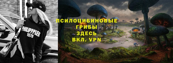 ешки Медвежьегорск
