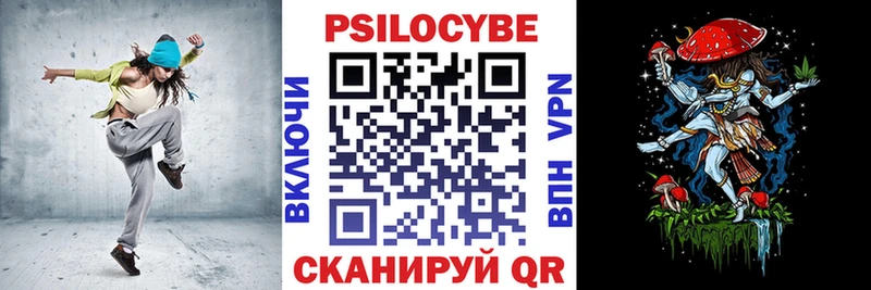 купить  сайты  Богданович  Псилоцибиновые грибы Magic Shrooms 
