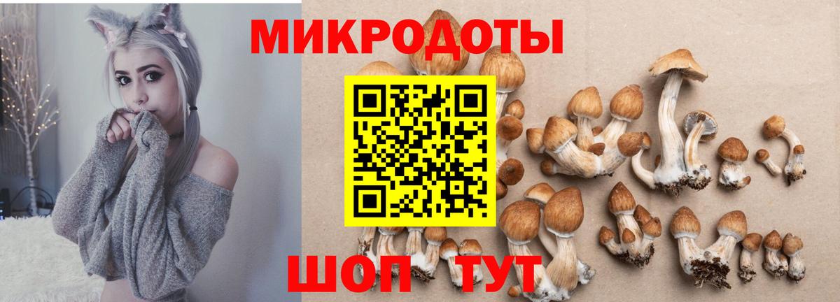 Галлюциногенные грибы Cubensis  сколько стоит  Богданович  Вход с VPN 