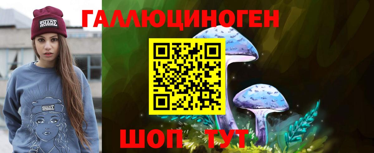 Псилоцибиновые грибы Magic Shrooms  Псилоцибиновые грибы мухоморы  Богданович 