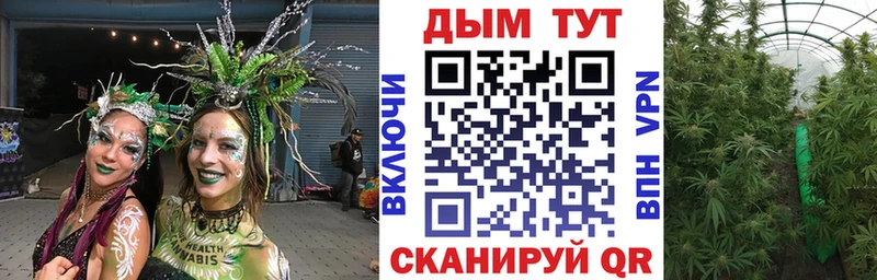 Канабис OG Kush  цена   Богданович 